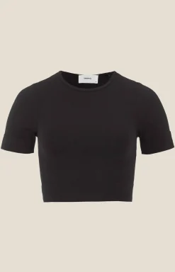 Collective Seamless Cropped SS Top W*Craft Sportswear Online